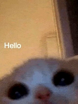 ellaexplicit_ instagram image archive image