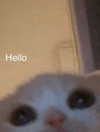 ellaexplicit_ Altpins Profile Picture