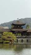 kasumi_sen Altpins Profile Picture