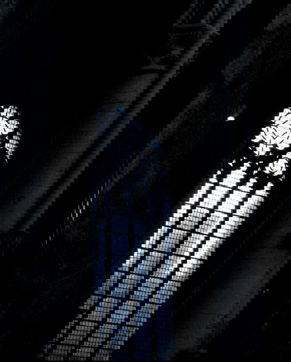 ratskeleton ratskeleton archive image