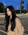daxbin Altpins Profile Picture