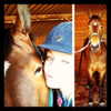 gigihadid Altpins Profile Picture