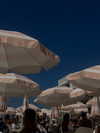 lian_sabag8 Altpins Profile Picture