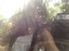 183xei Altpins Profile Picture