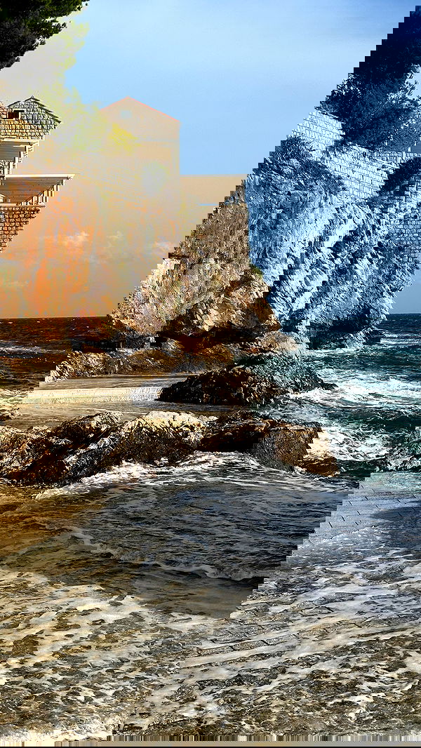 taylor.creeden taylor.creeden archive image