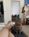 milena_milachich Altpins Profile Picture