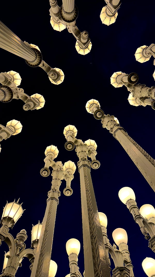 daxbin instagram image archive image