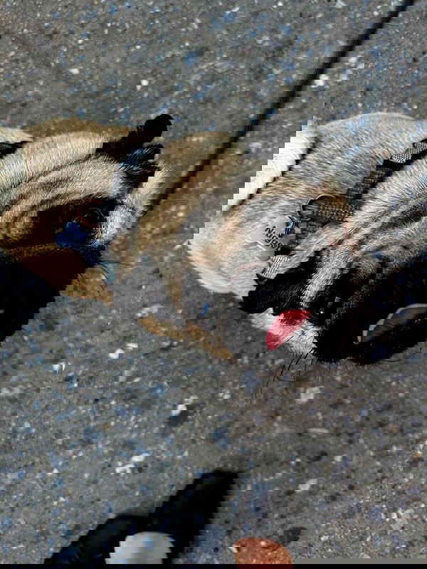 taylor.creeden taylor.creeden archive image