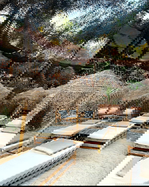 taylor.creeden taylor.creeden archive image