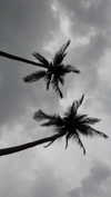 gritsa.k Altpins Profile Picture
