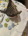 jahia_brown Altpins Profile Picture