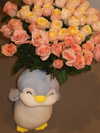 shpaakova Altpins Profile Picture