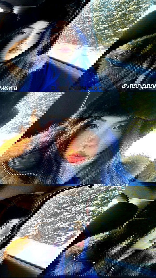 annfigma annfigma archive image