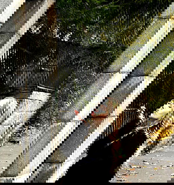 pinx_ir pinx_ir archive image