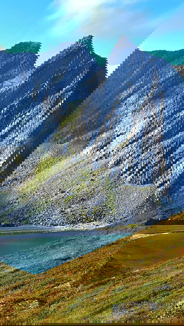 taylor.creeden taylor.creeden archive image