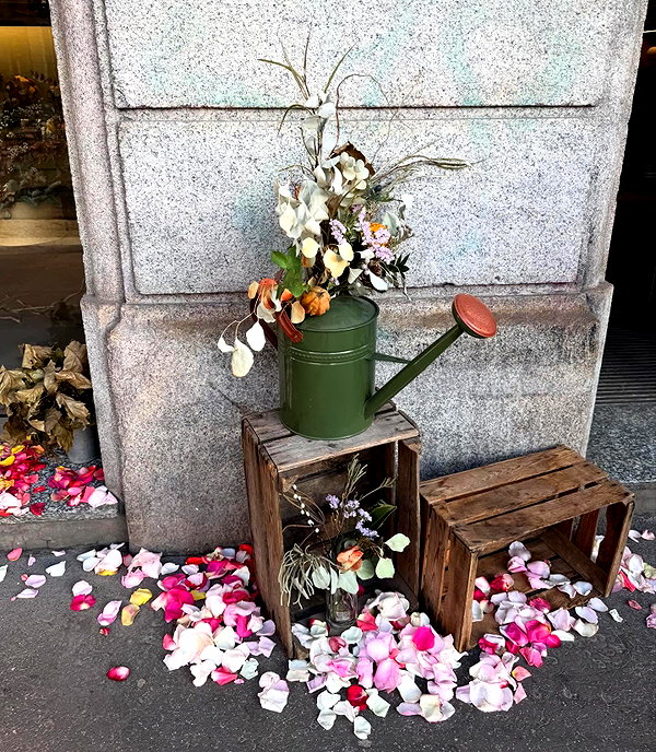 edvarda_ instagram image archive image