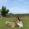 daxbin Altpins Profile Picture