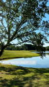 elizabethcampbelljones Altpins Profile Picture