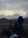 fair_mua Altpins Profile Picture