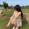 daxbin Altpins Profile Picture