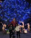 mariahcarey Altpins Profile Picture