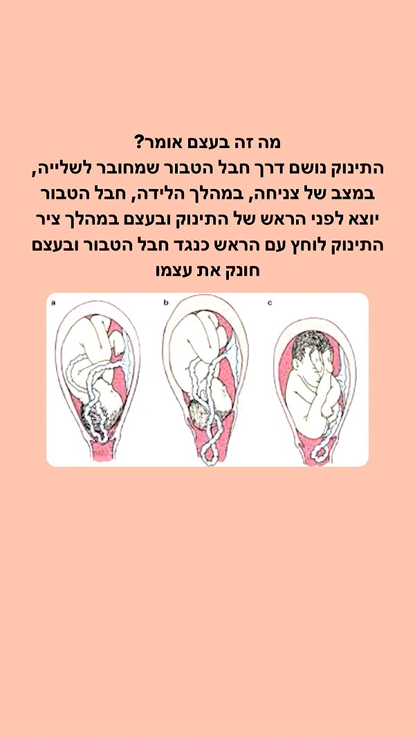 kesemgreenyer instagram image archive image