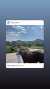 maori_cohen Altpins Profile Picture