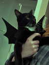 luvstuff3r Altpins Profile Picture