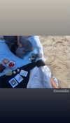 jessysiner Altpins Profile Picture