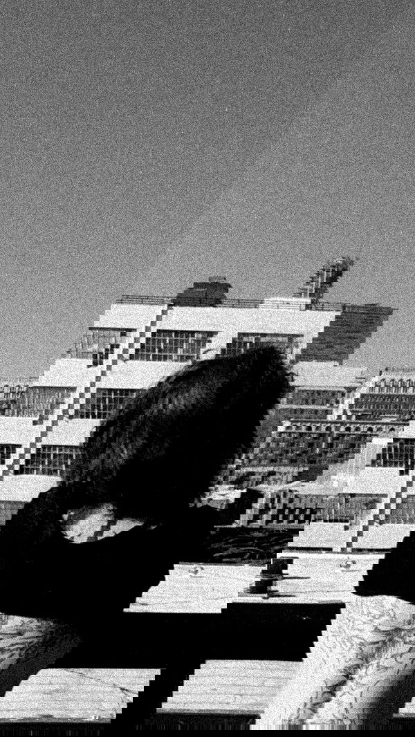 zommmbri zommmbri archive image