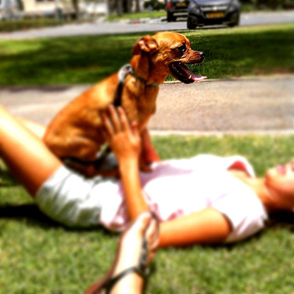 yuval_raz instagram image archive image