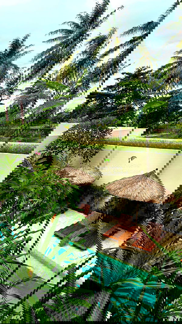 taylor.creeden taylor.creeden archive image