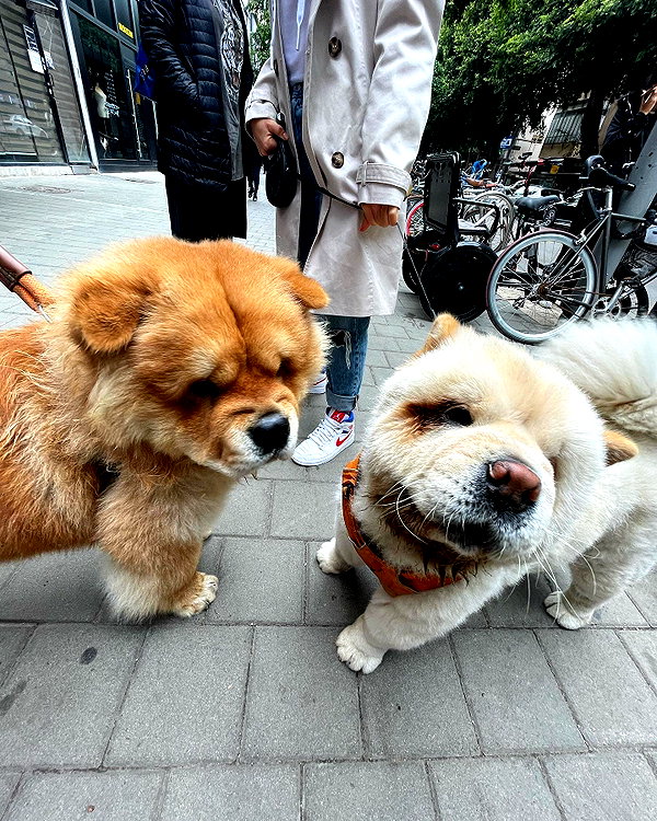 annezivi instagram image archive image
