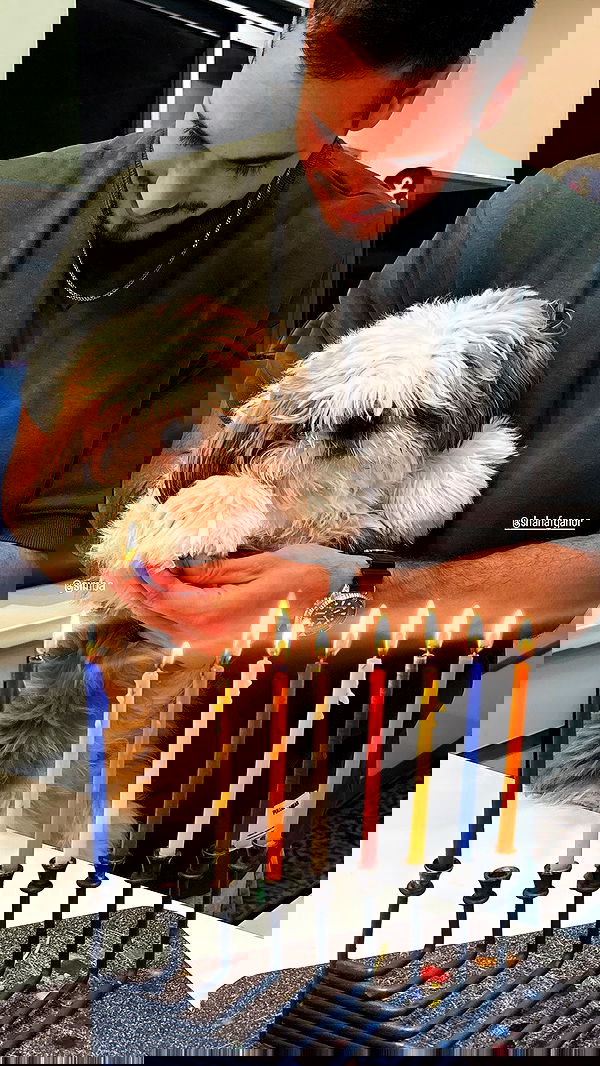 noammalka___ noammalka___ archive image