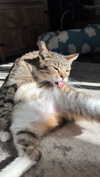 olivia.bolgerr Altpins Profile Picture