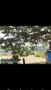 maycohen8 Altpins Profile Picture