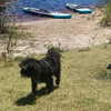 daisy_r_19 Altpins Profile Picture