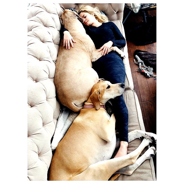 sashapieterse instagram image archive image
