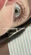 howeversnowy Altpins Profile Picture