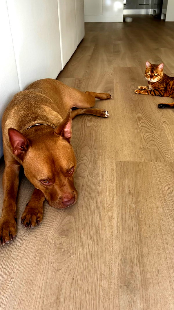 olivia.mathers instagram image archive image
