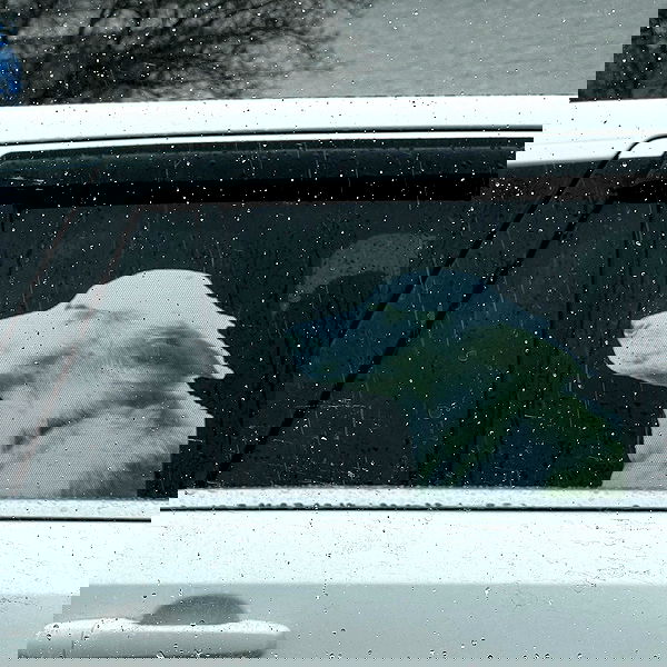 missnyxdawn missnyxdawn archive image