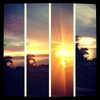 gigihadid Altpins Profile Picture