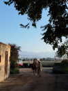 solzarubin_ Altpins Profile Picture