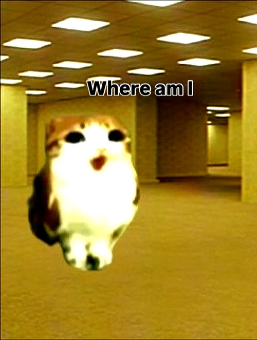 milkibunshehe instagram image archive image