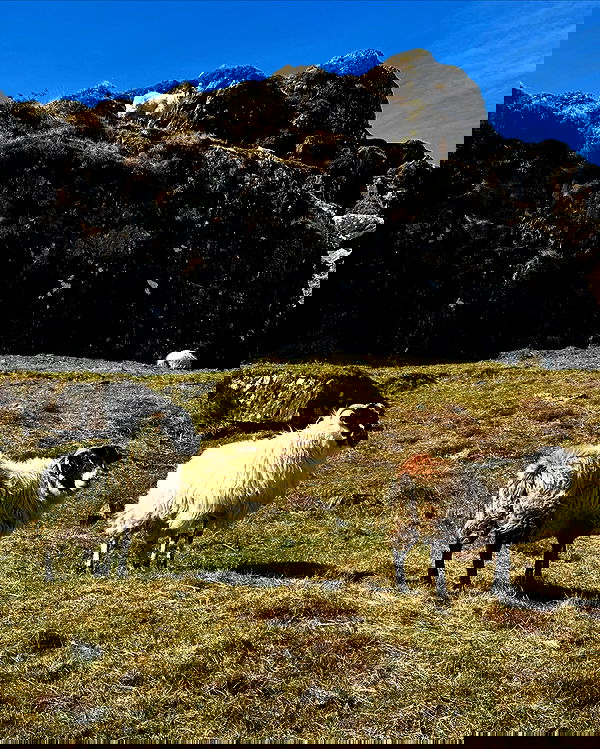 taylor.creeden taylor.creeden archive image