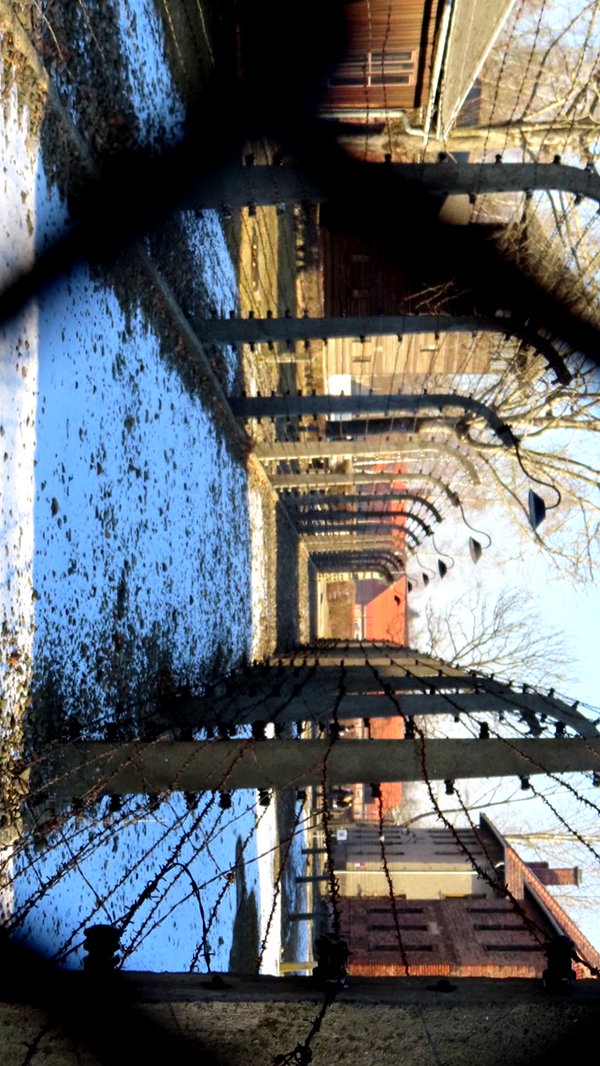 agamohanaa instagram image archive image