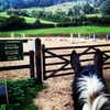 kafelnikova_a Altpins Profile Picture