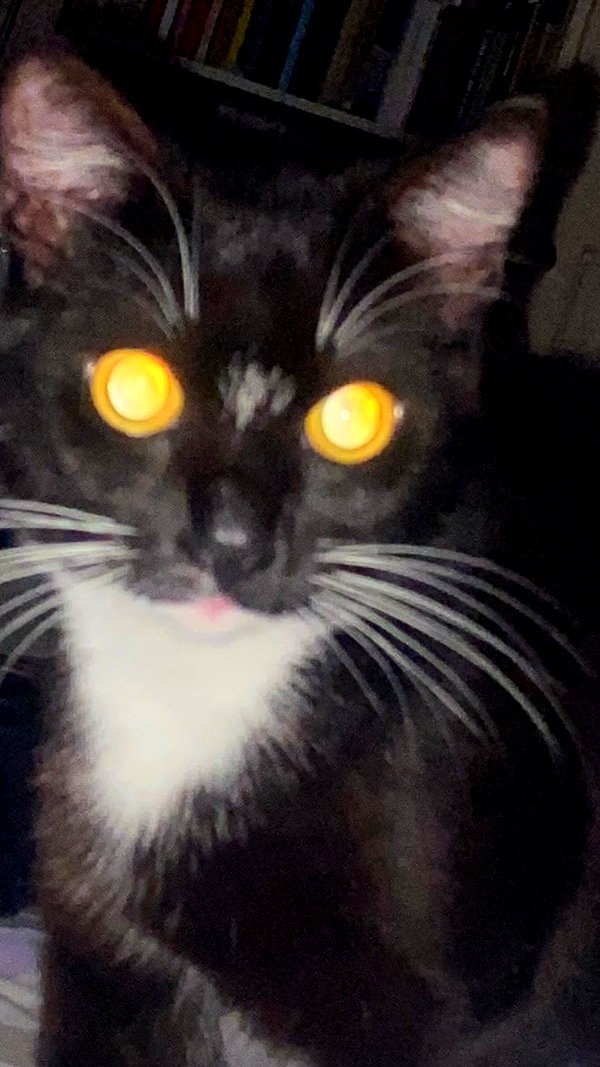 vampiryska instagram image archive image