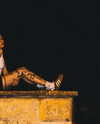 orman.mariee Altpins Profile Picture