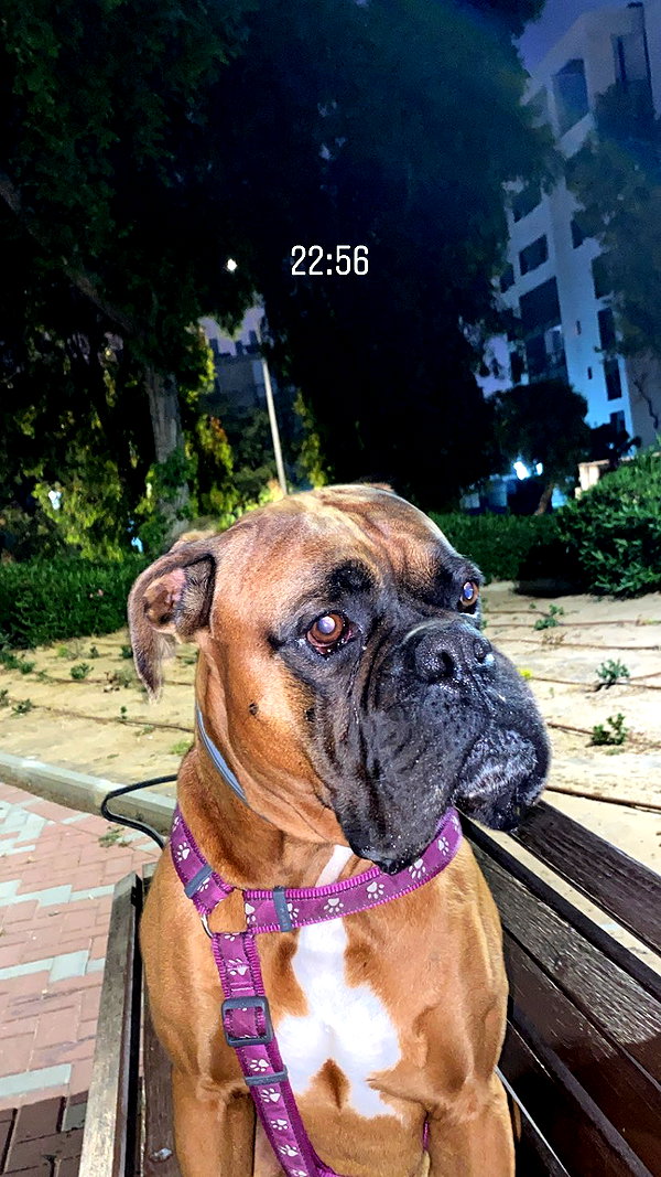x.angelzk instagram image archive image